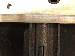 SurveyImage_07_06.png