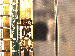 SurveyImage_08_03.png