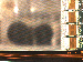 SurveyImage_09_02.png