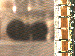 SurveyImage_09_03.png