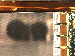 SurveyImage_09_04.png