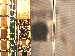 SurveyImage_10_03.png