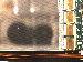 SurveyImage_11_02.png
