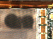 SurveyImage_11_04.png