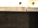SurveyImage_12_06.png