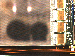 SurveyImage_13_02.png