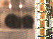 SurveyImage_13_03.png