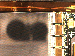 SurveyImage_13_04.png