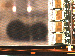 SurveyImage_15_02.png