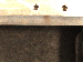 SurveyImage_18_06.png