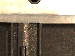 SurveyImage_22_06.png