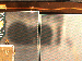 SurveyImage_24_04.png