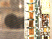 SurveyImage_25_03.png