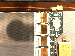 SurveyImage_25_04.png