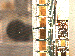 SurveyImage_27_03.png