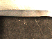 SurveyImage_29_06.png