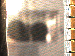 SurveyImage_01_03.png