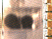 SurveyImage_03_03.png