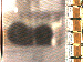 SurveyImage_05_03.png