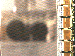 SurveyImage_07_03.png