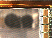 SurveyImage_07_04.png