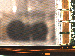 SurveyImage_09_02.png