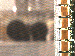 SurveyImage_09_03.png