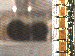 SurveyImage_11_03.png