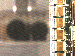 SurveyImage_13_03.png