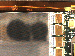 SurveyImage_13_04.png
