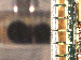 SurveyImage_15_03.png