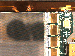 SurveyImage_17_04.png