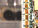 SurveyImage_19_03.png