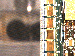 SurveyImage_21_03.png