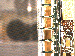 SurveyImage_23_03.png