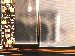 SurveyImage_24_02.png