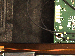 SurveyImage_24_05.png