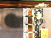 SurveyImage_25_04.png