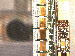 SurveyImage_27_03.png