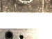 SurveyImage_29_01.png