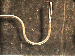 SurveyImage_29_02.png