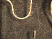 SurveyImage_29_03.png