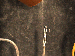 SurveyImage_29_04.png
