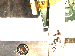 SurveyImage_30_01.png