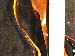 SurveyImage_30_03.png