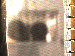 SurveyImage_01_03.png