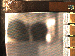 SurveyImage_01_04.png