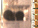 SurveyImage_03_03.png
