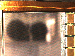 SurveyImage_03_04.png