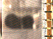 SurveyImage_05_03.png
